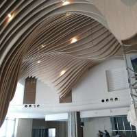 弧型吊顶 (16)