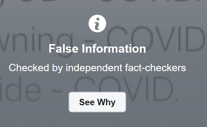 Facebook's false information flag